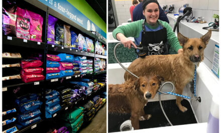 MUST LOVE DOGS: WHY A PET EVOLUTION DOG FRANCHISE IS PAWSITIVELY THE RIGHT MOVE