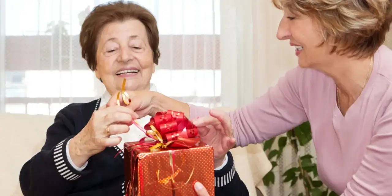 Assisted Living Locators: An Elderly Care Franchise for Tomorrow